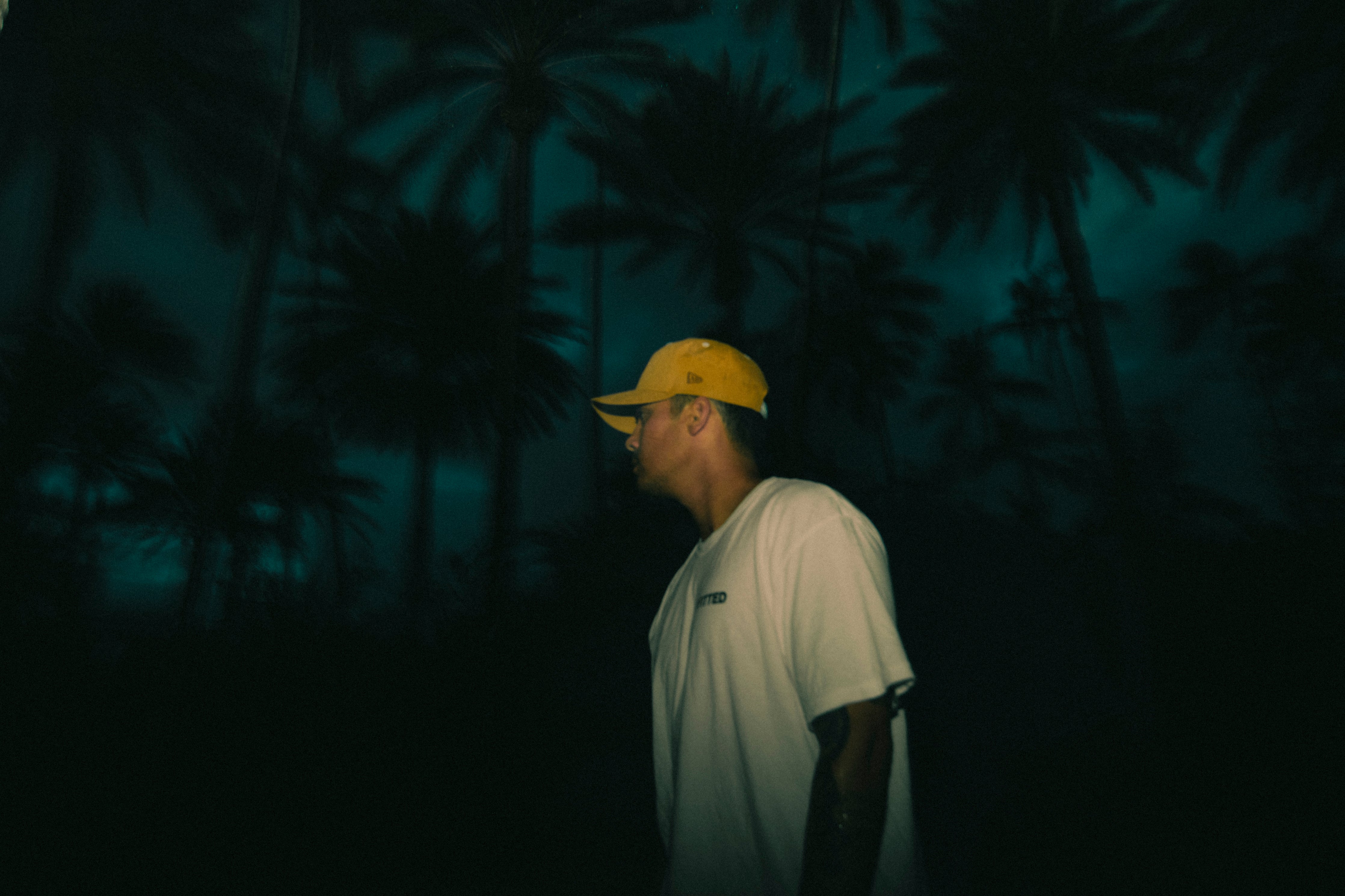 FITTED Hawaii FITTED HAWAIʻI