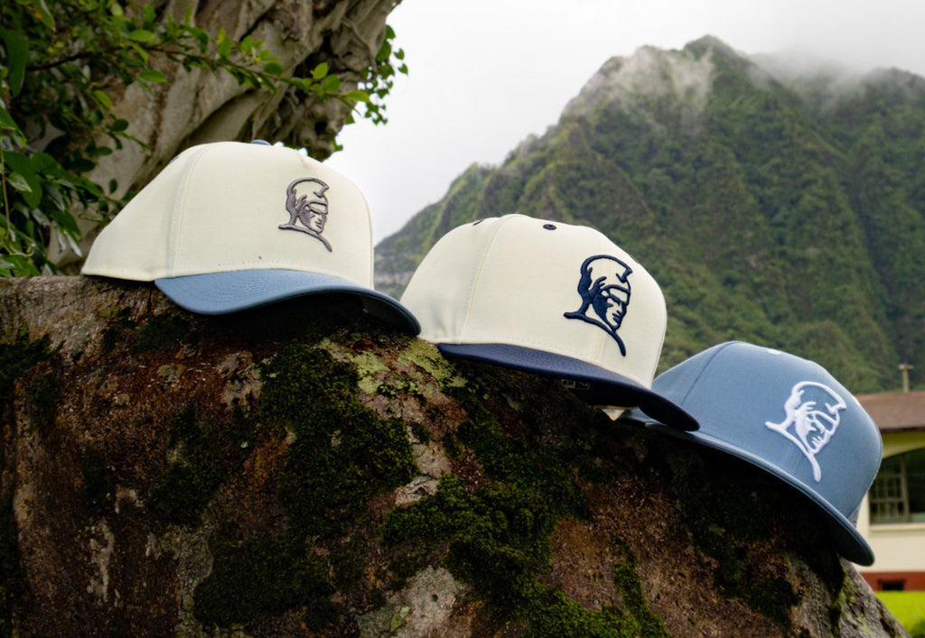 FITTED Hawaii – FITTED HAWAIʻI