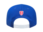 Load image into Gallery viewer, ALOHA SNAPBACK
