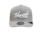 Load image into Gallery viewer, KALAI HAWAII STRETCH SNAPBACK - GRAY
