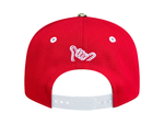 Load image into Gallery viewer, KAMEHAMEHA SNAPBACK

