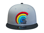 Load image into Gallery viewer, MUA SNAPBACK - GRAY / GRAPHITE
