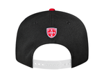 Load image into Gallery viewer, PRIDE SNAPBACK
