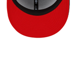 Load image into Gallery viewer, PRIDE SNAPBACK

