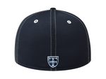 Load image into Gallery viewer, CM25 PRIDE FITTED - NAVY / GRAY
