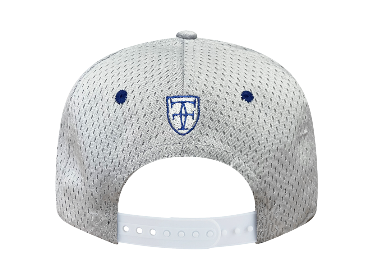 PRIDE SNAPBACK - SILVER TECH MESH / BLUE