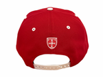 Load image into Gallery viewer, PRIDE SNAPBACK - RED / PINK
