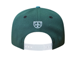 Load image into Gallery viewer, SLAPSWIND A-FRAME SNAPBACK
