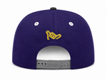 Load image into Gallery viewer, VANGUARD SNAPBACK
