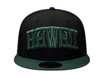 Load image into Gallery viewer, WESN FITTED - BLACK / DK GREEN
